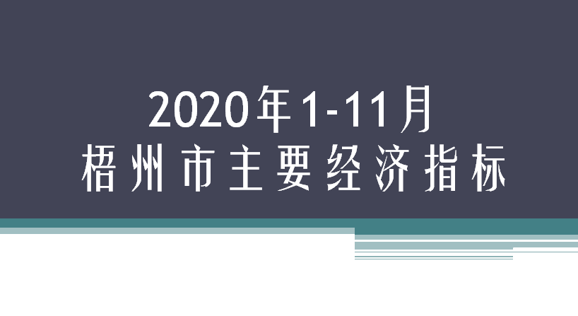 2020年1-11月梧州市主要经济指标